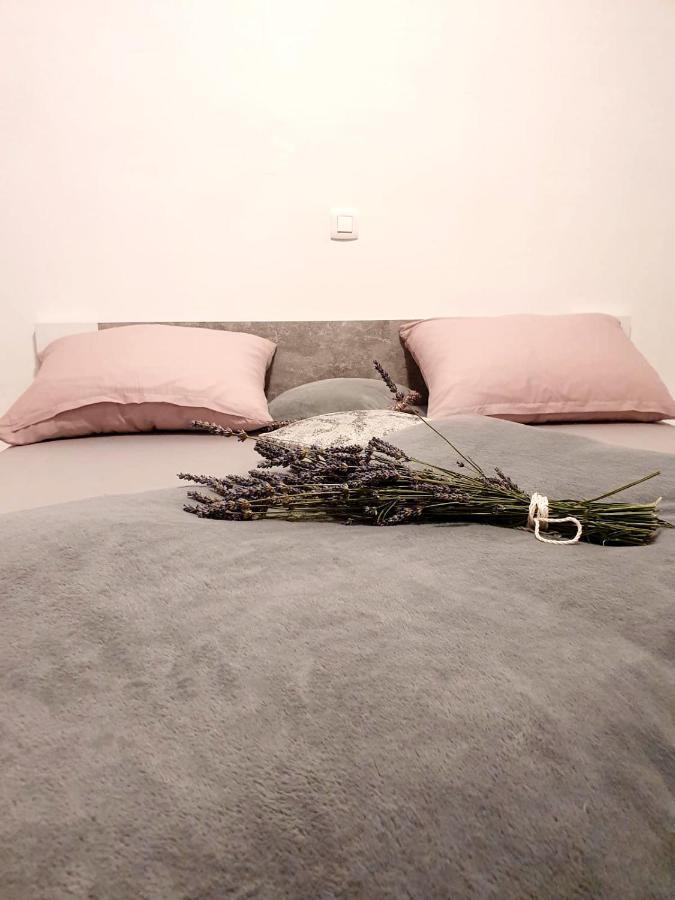 Jovici  Apartman Skolj מראה חיצוני תמונה